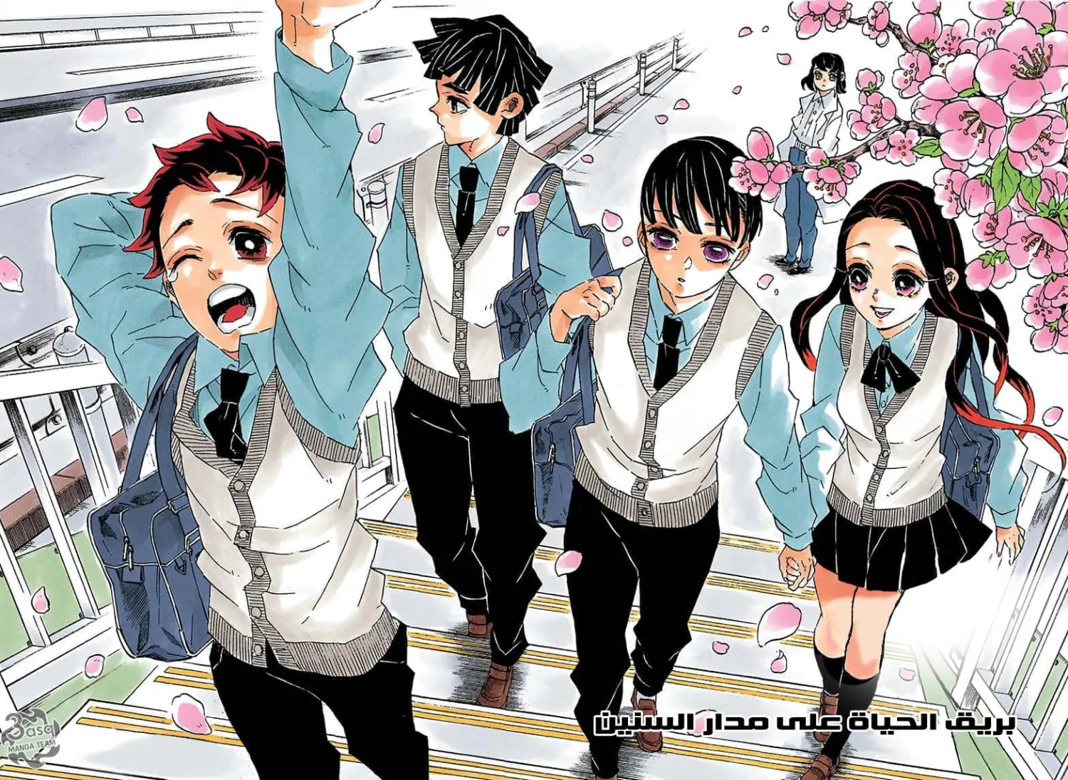 Kimetsu no Yaiba الفصل 205 — صفحة 12