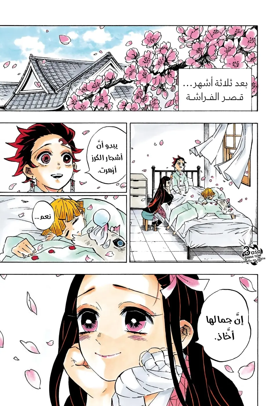 Kimetsu no Yaiba الفصل 204 — صفحة 1
