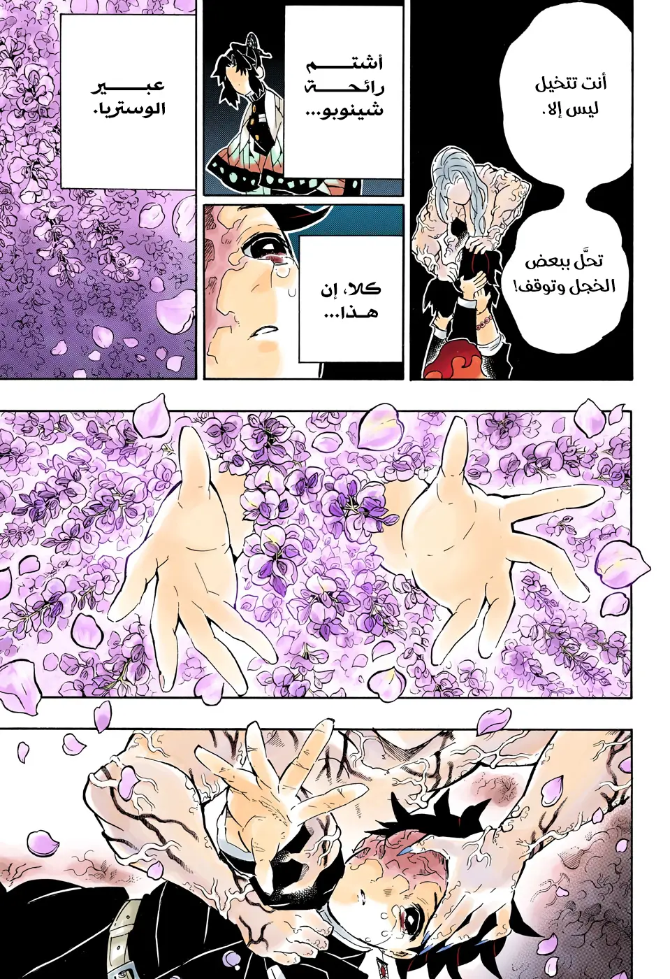 Kimetsu no Yaiba الفصل 203 — صفحة 19