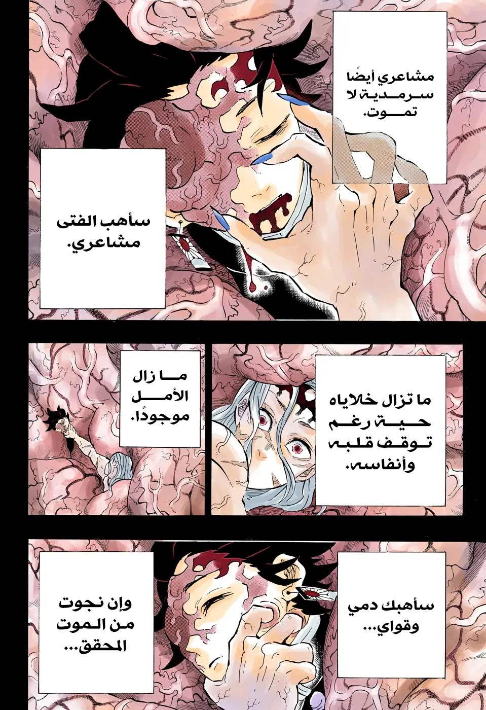 Kimetsu no Yaiba الفصل 201 — صفحة 4