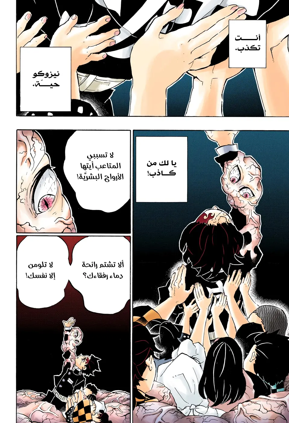 Kimetsu no Yaiba الفصل 203 — صفحة 14