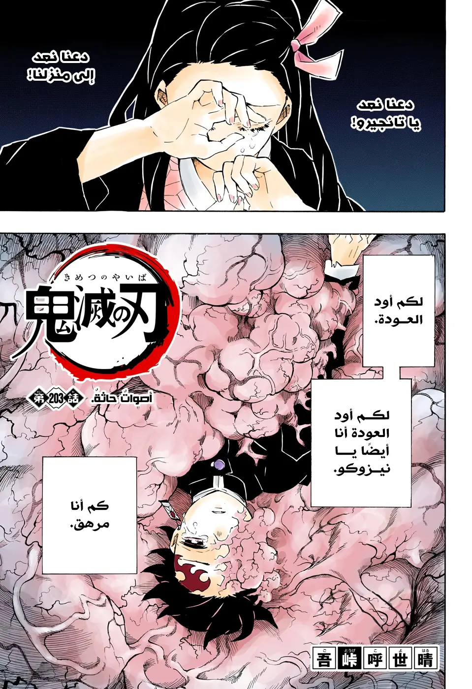 Kimetsu no Yaiba الفصل 203 — صفحة 1