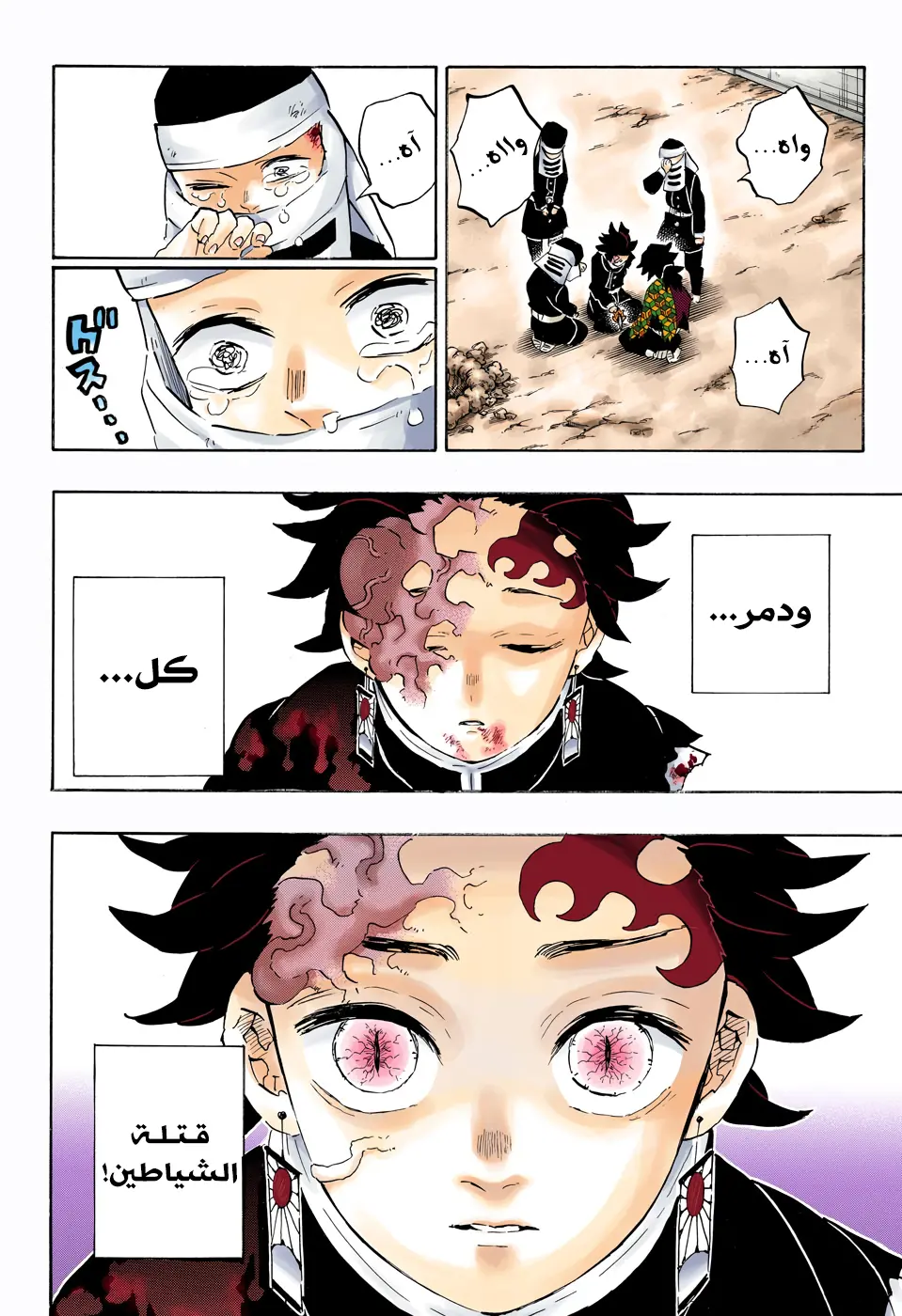 Kimetsu no Yaiba الفصل 201 — صفحة 6