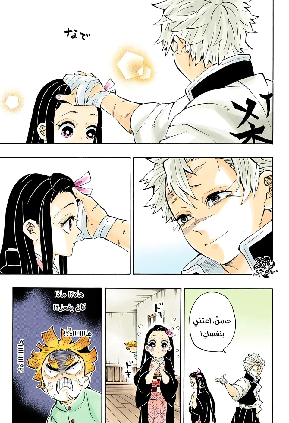 Kimetsu no Yaiba الفصل 204 — صفحة 14