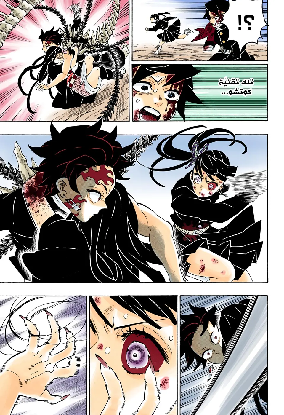 Kimetsu no Yaiba الفصل 202 — صفحة 9