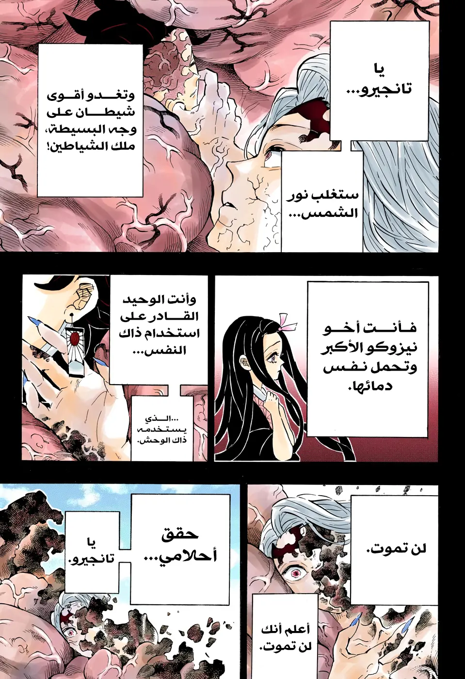 Kimetsu no Yaiba الفصل 201 — صفحة 5