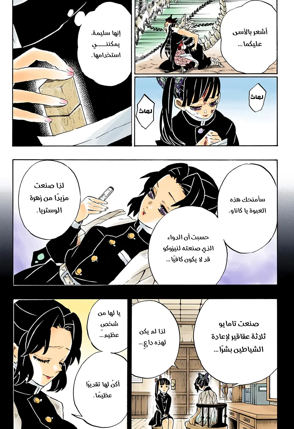 Kimetsu no Yaiba الفصل 202 — صفحة 7
