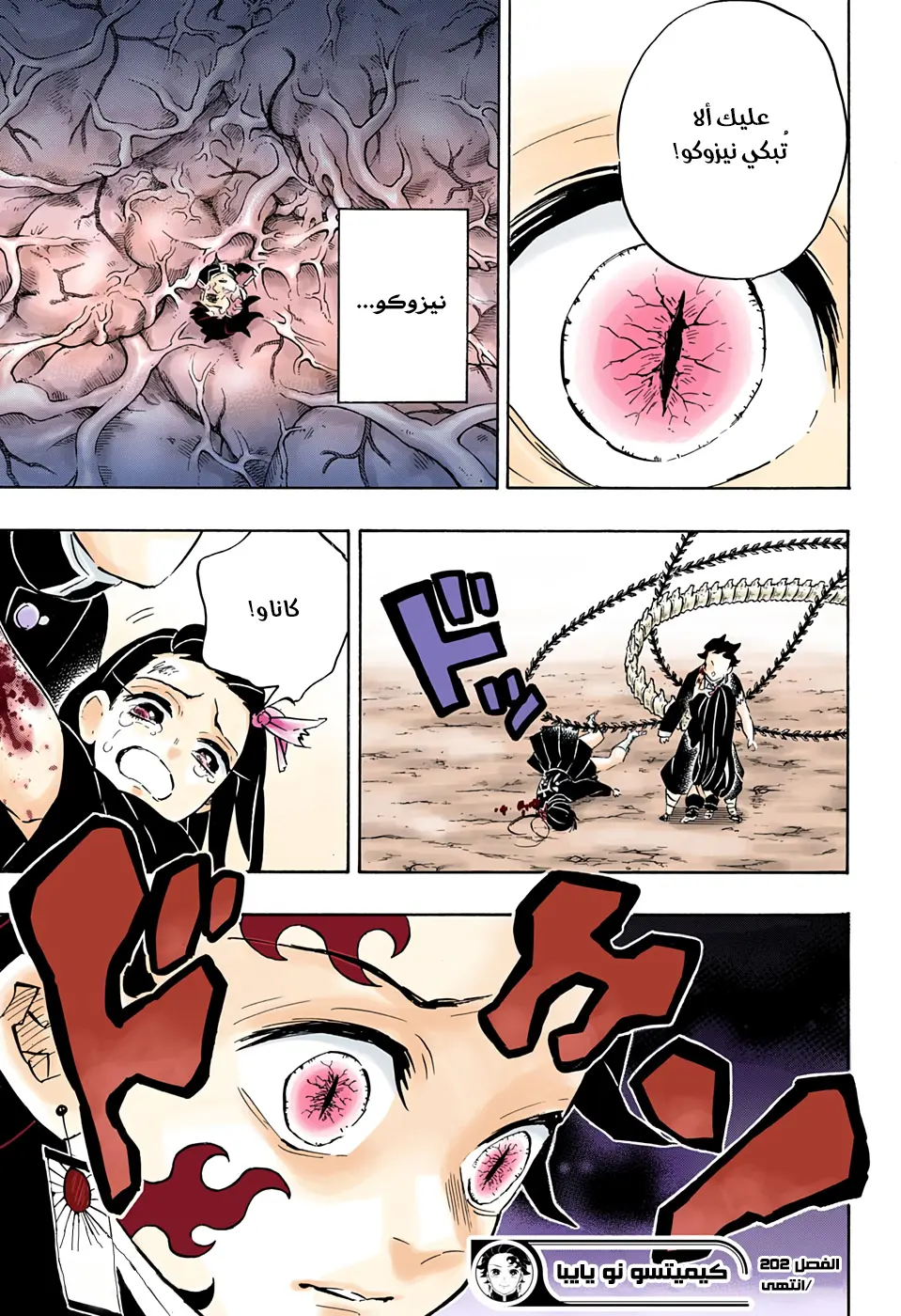 Kimetsu no Yaiba الفصل 202 — صفحة 11