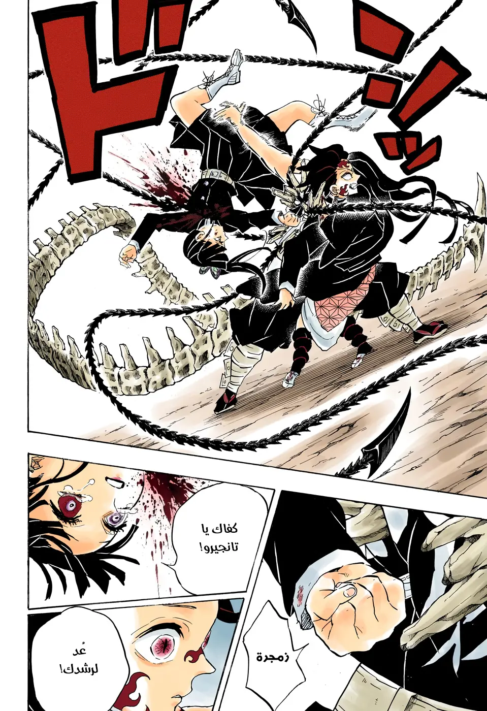 Kimetsu no Yaiba الفصل 202 — صفحة 10