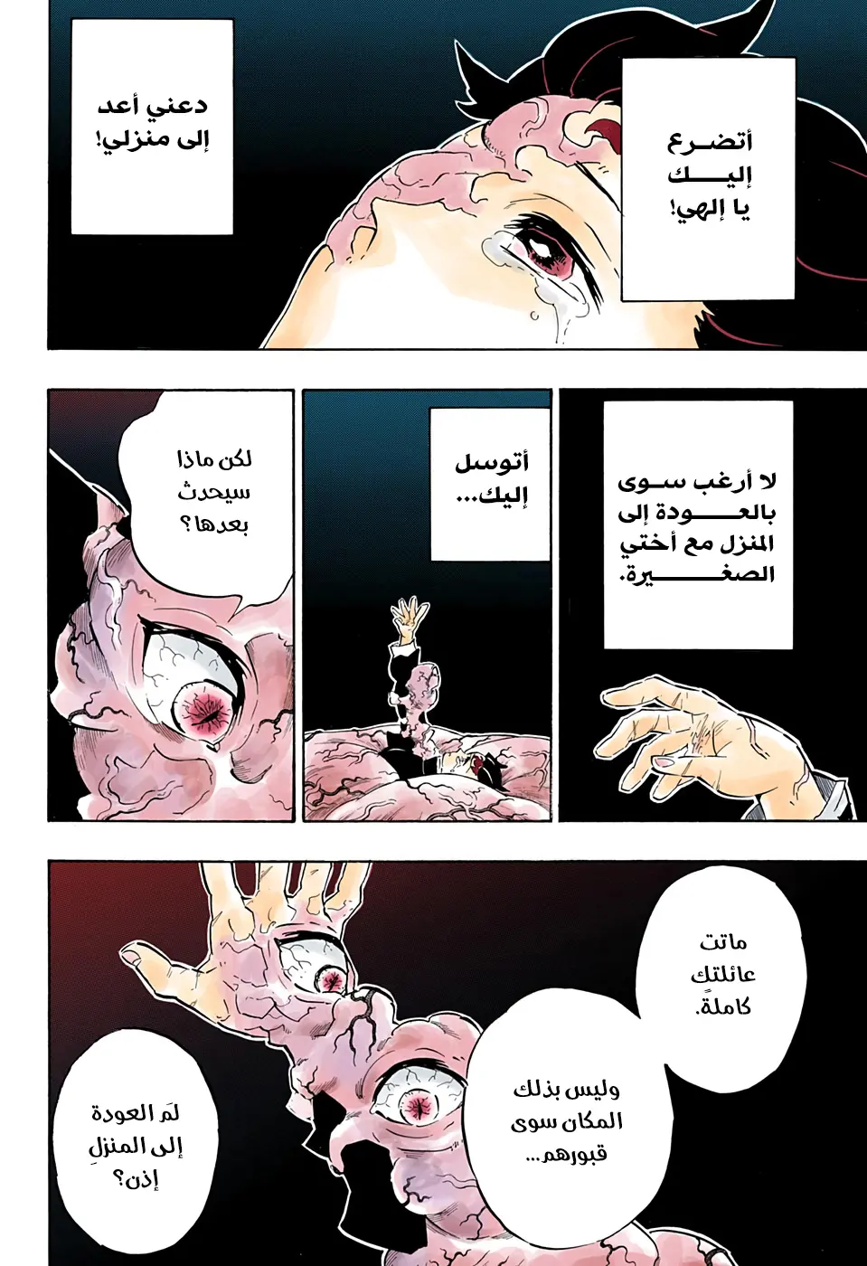 Kimetsu no Yaiba الفصل 203 — صفحة 12