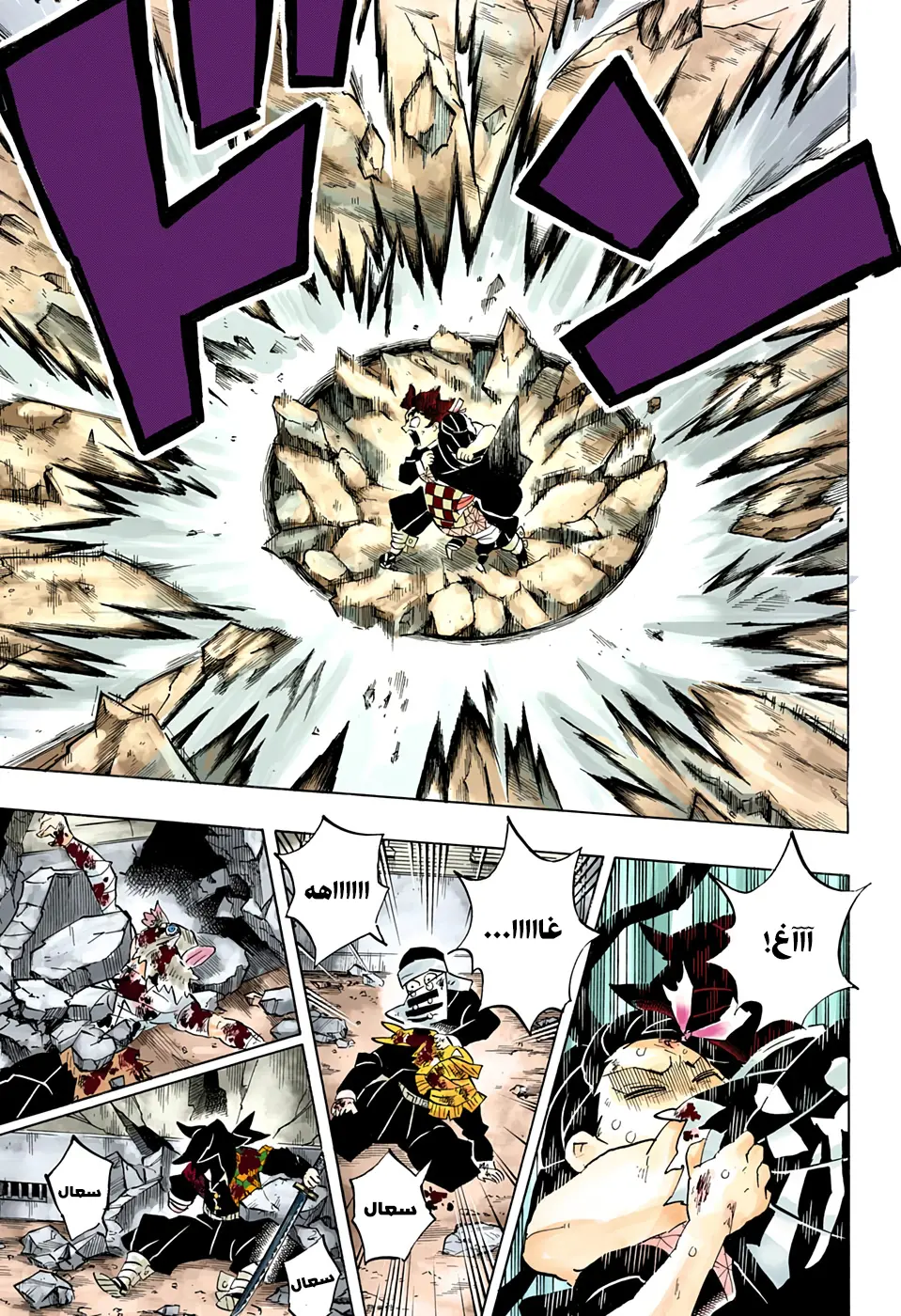 Kimetsu no Yaiba الفصل 202 — صفحة 17