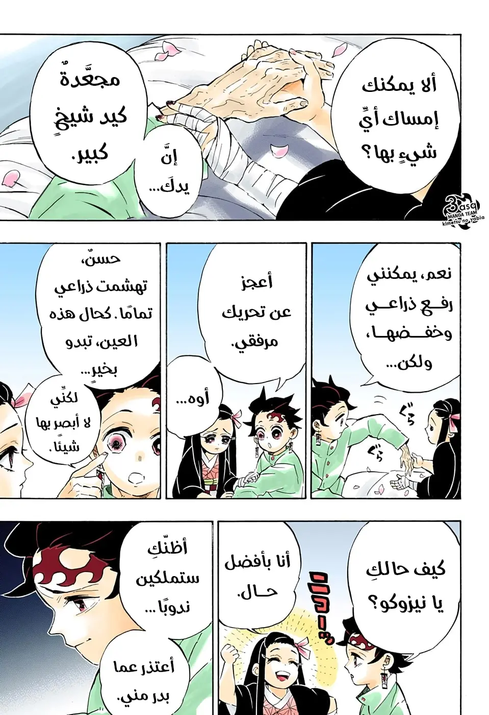 Kimetsu no Yaiba الفصل 204 — صفحة 19