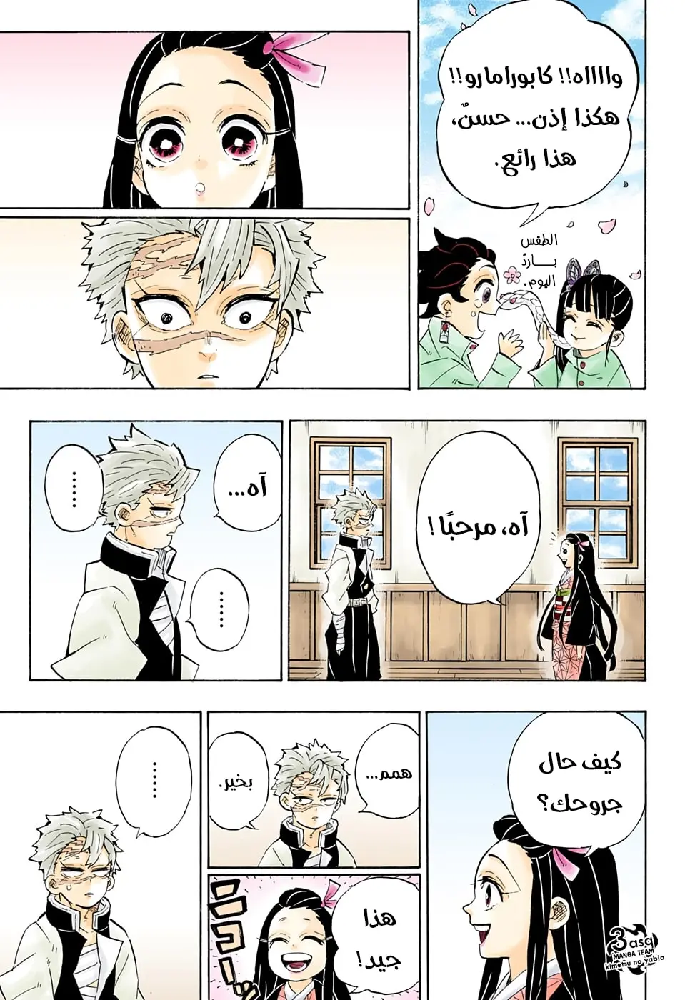Kimetsu no Yaiba الفصل 204 — صفحة 11