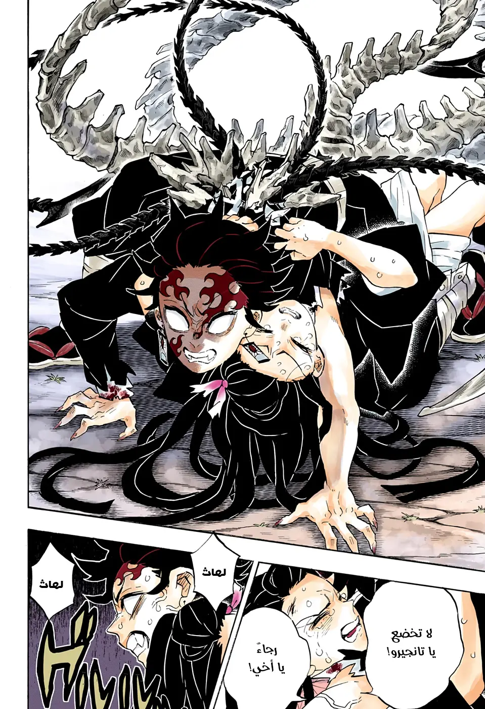 Kimetsu no Yaiba الفصل 202 — صفحة 18