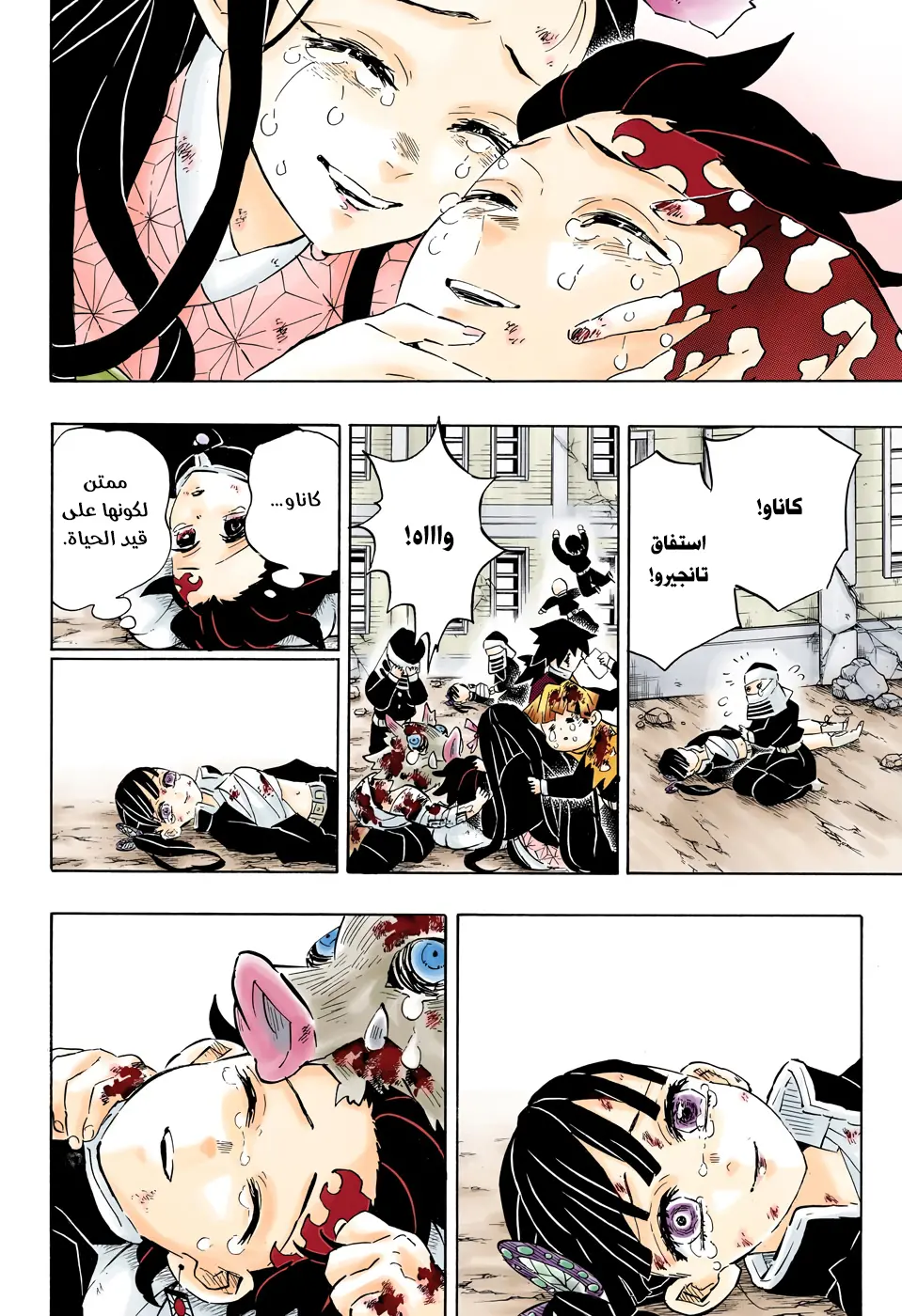 Kimetsu no Yaiba الفصل 203 — صفحة 10