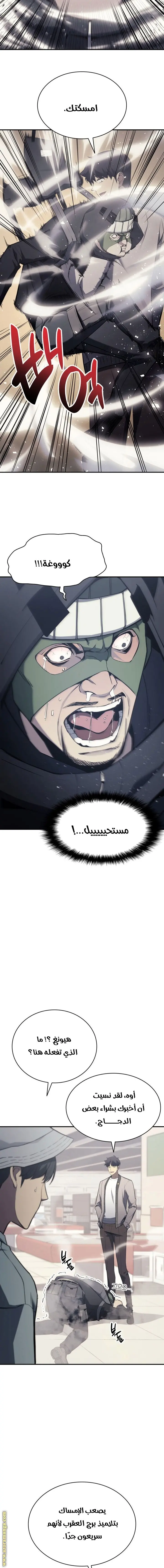 صفحة 17