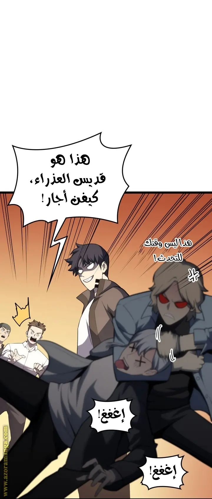 صفحة 17