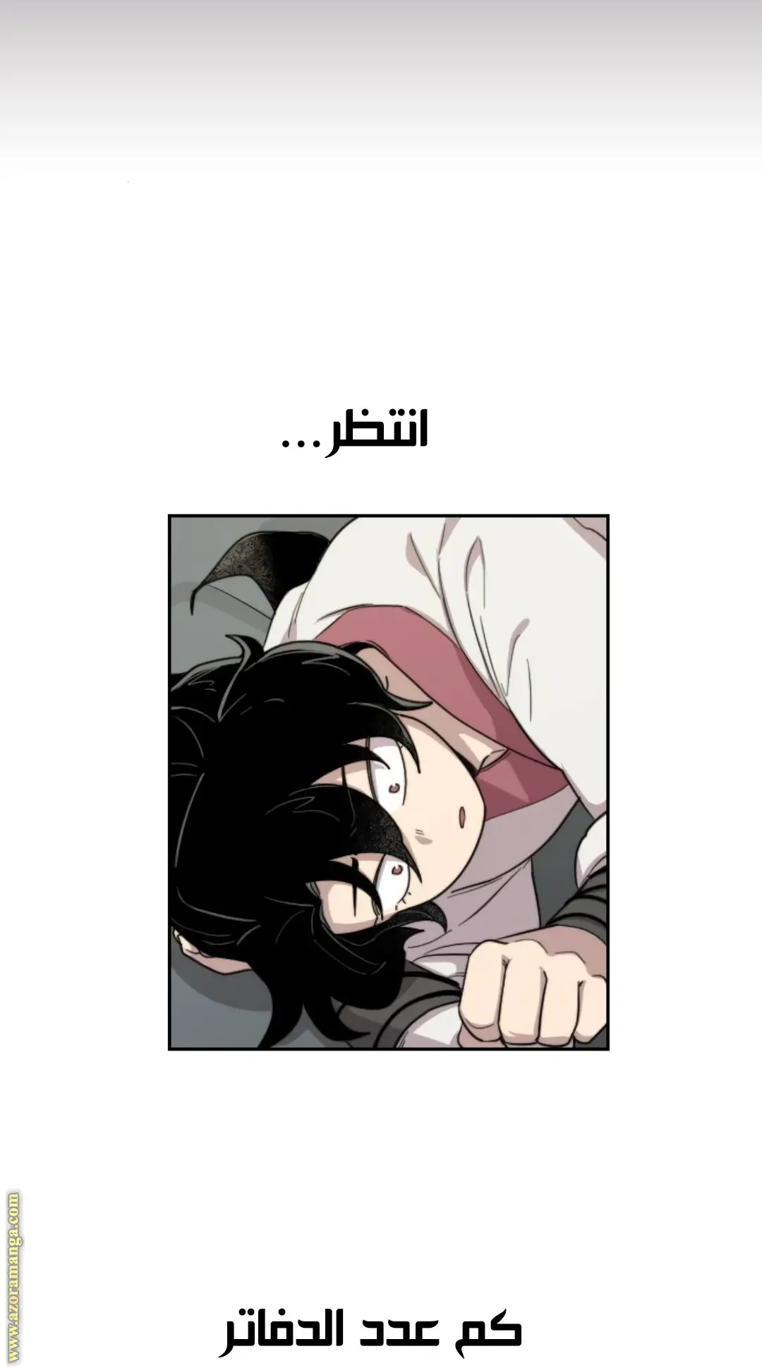 صفحة 100