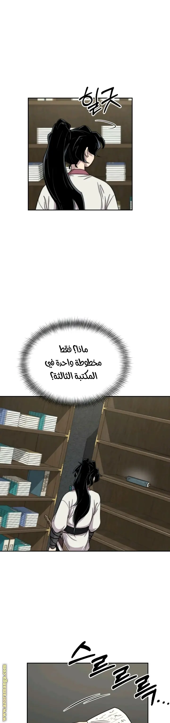 صفحة 17