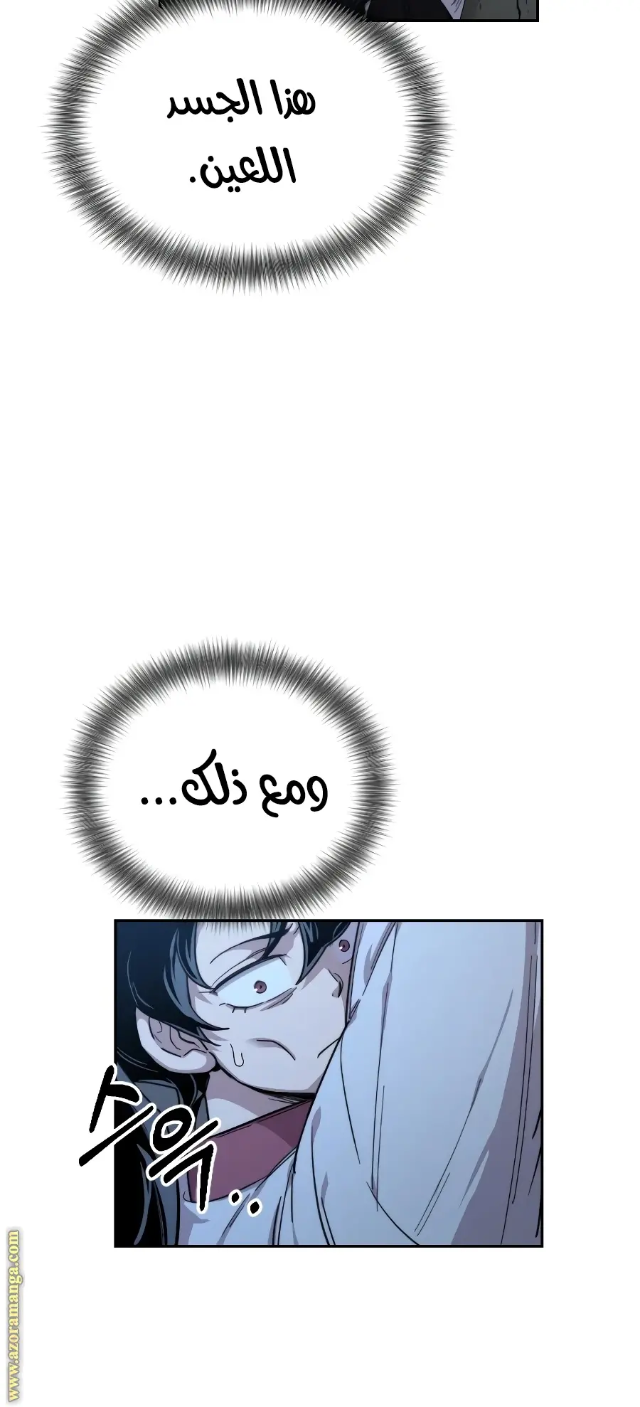 صفحة 17