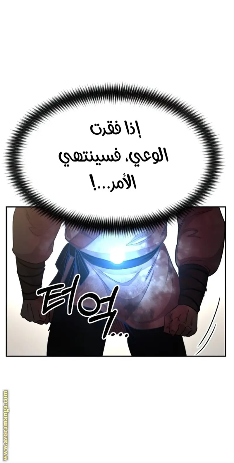 صفحة 13