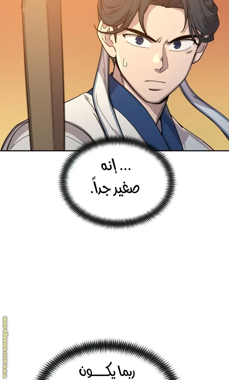 صفحة 29