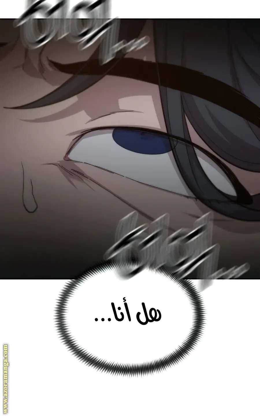 صفحة 117