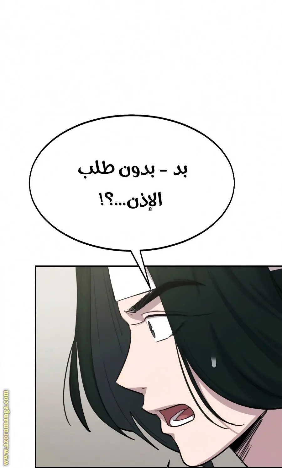 صفحة 17