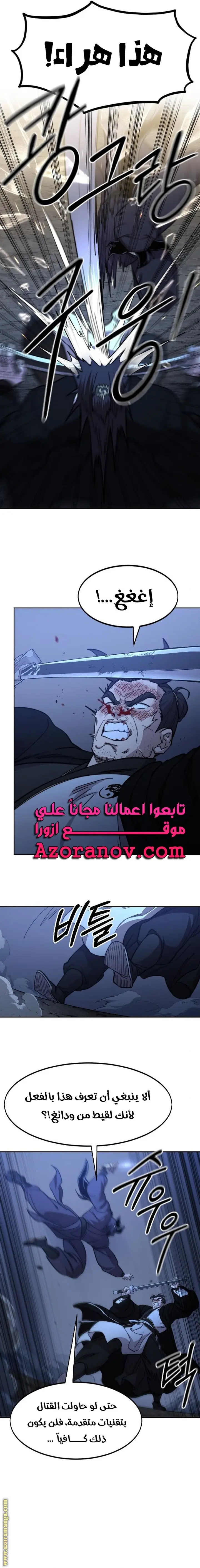صفحة 17