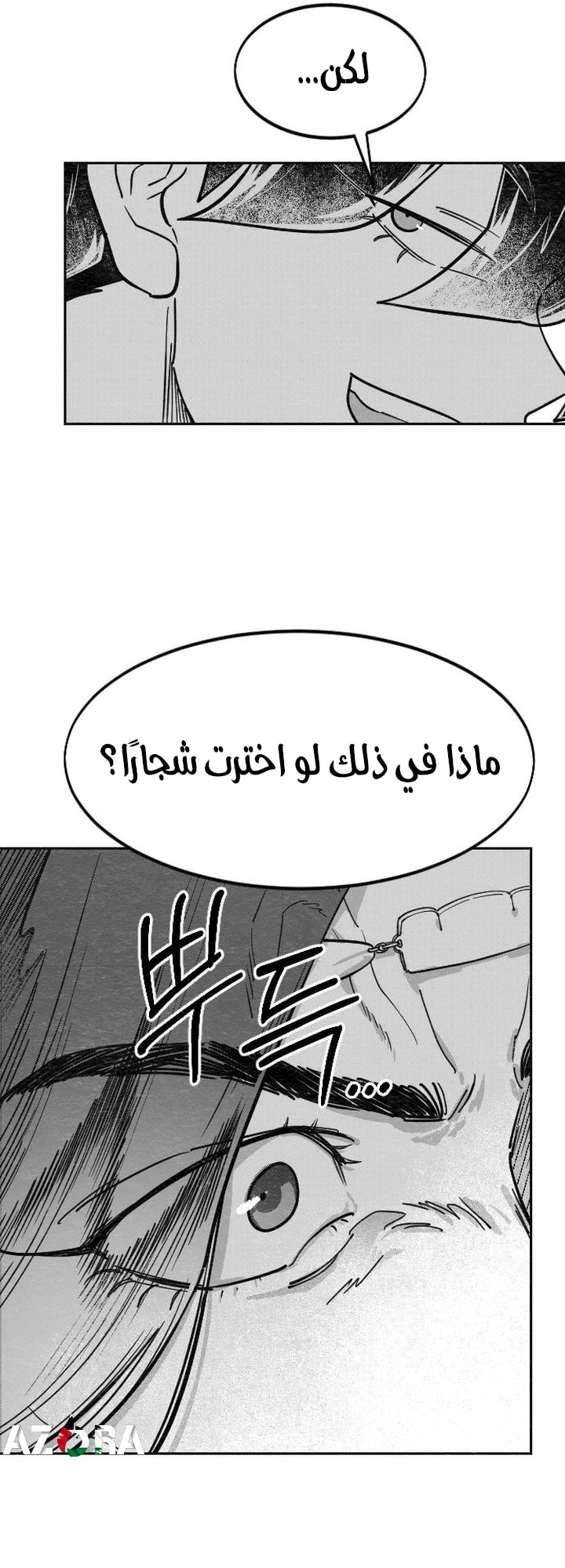 صفحة 17