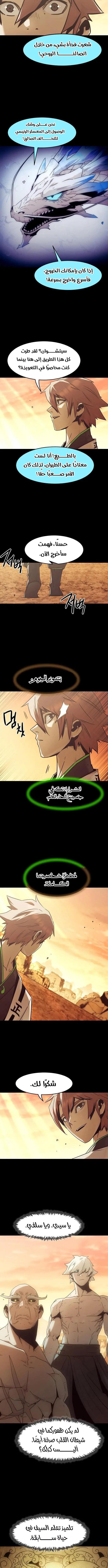 صفحة 13